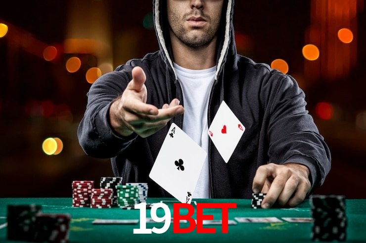 Interface Premium 19BET